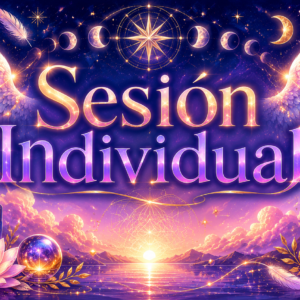 SESIÓN INDIVIDUAL