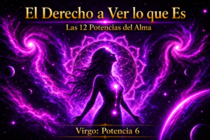 EL DERECHO A VER LO QUE ES | POTENCIA 6 | VIRGO