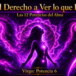 EL DERECHO A VER LO QUE ES